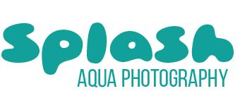 Splash Photography